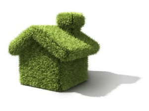 eco_home_of_grass-300x225