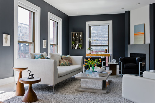 Contemporary Living Room by Boston Interior Designers & Decorators Ana Donohue Interiors via Houzz